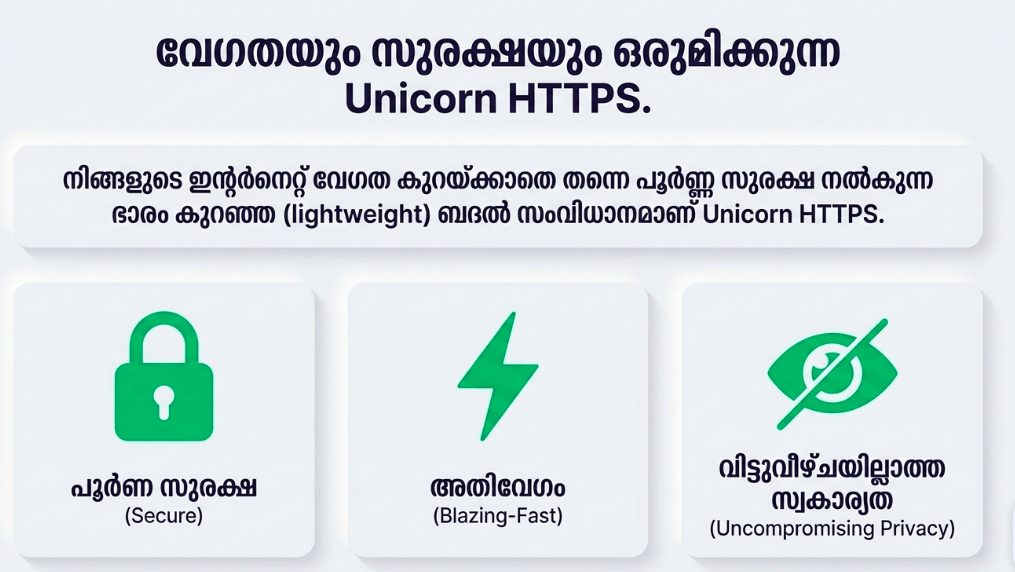 why unicorn HTTTPS is the fastest and the safest