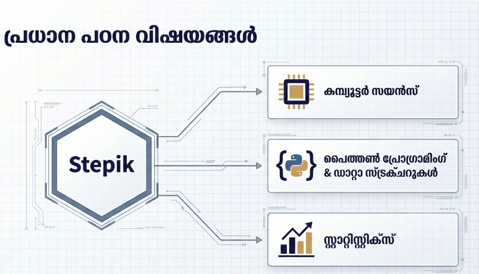 Stepik Content 